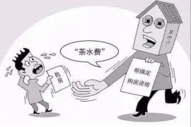 代县代县的要账公司在催收过程中的策略和技巧有哪些？